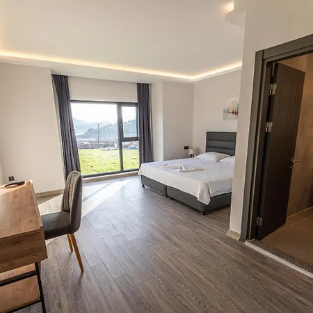 Tolstoy'un Bisikleti *