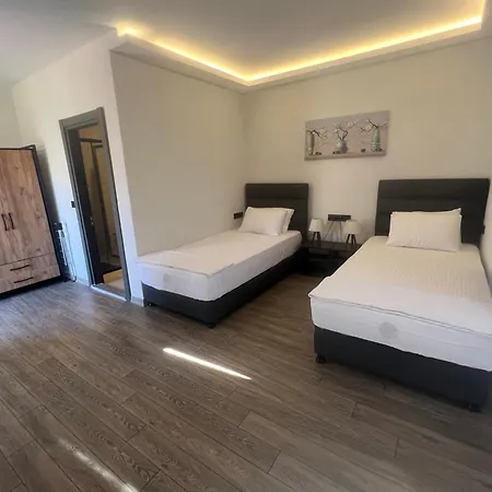 Tolstoy'un Bisikleti *