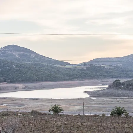 Tolstoy'un Bisikleti * İmroz