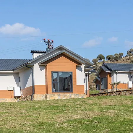 Tolstoy'un Bisikleti