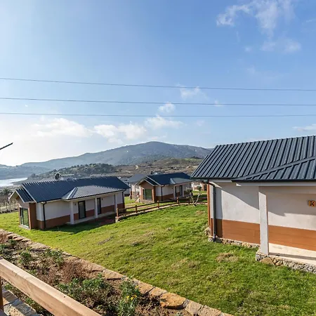 Tolstoy'un Bisikleti