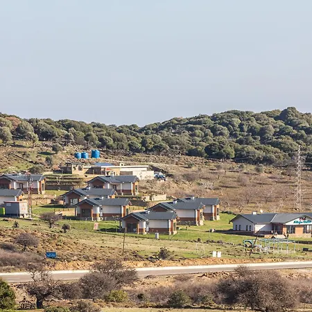 Tolstoy'un Bisikleti *