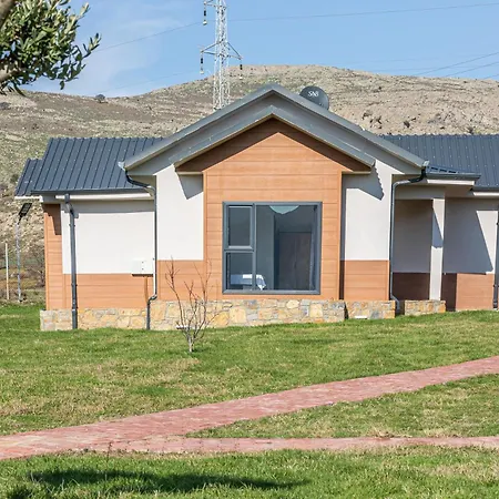 Tolstoy'un Bisikleti 호텔